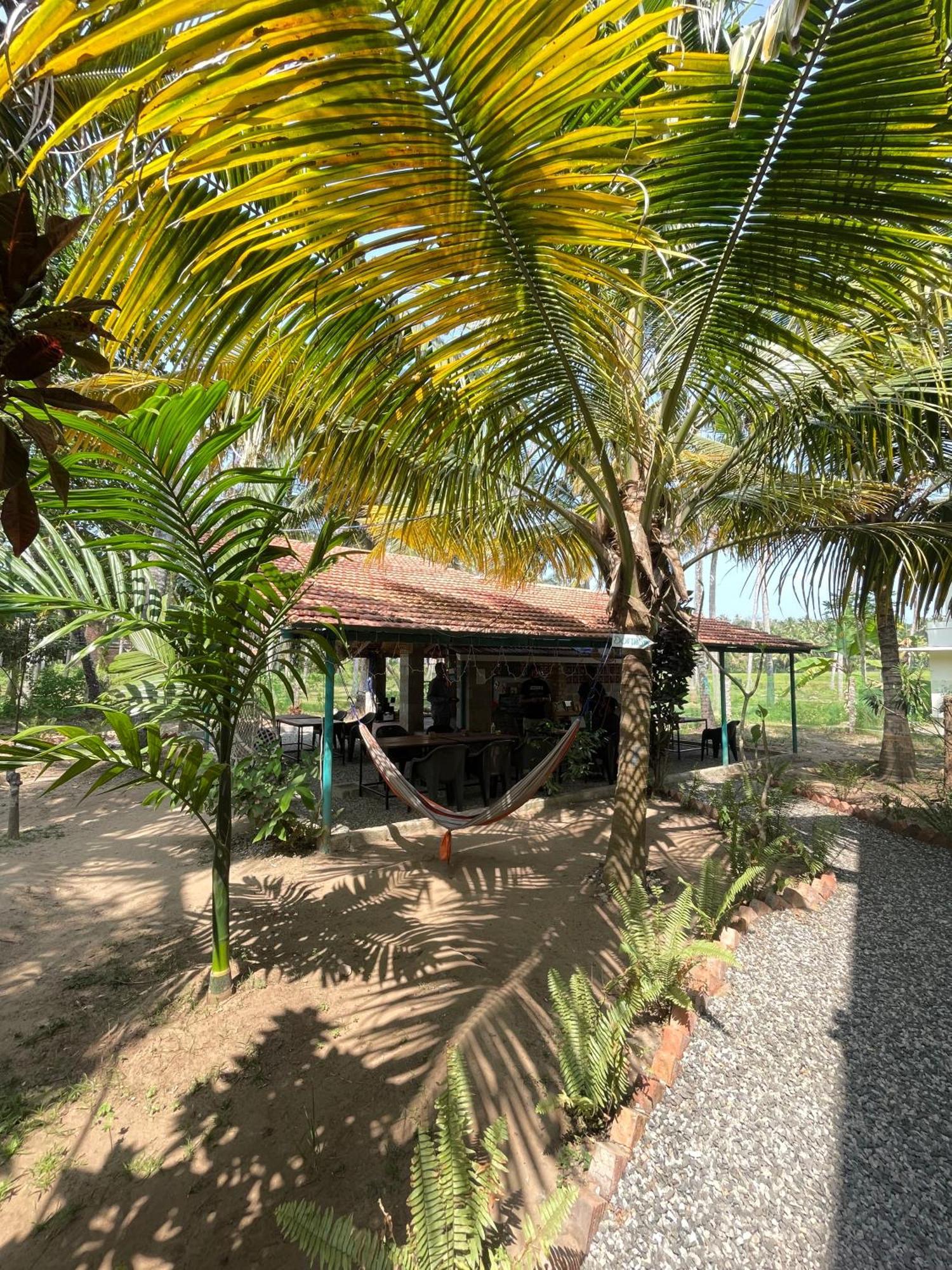 Cliff & Coral Hostel วาร์คาลา ภายนอก รูปภาพ
