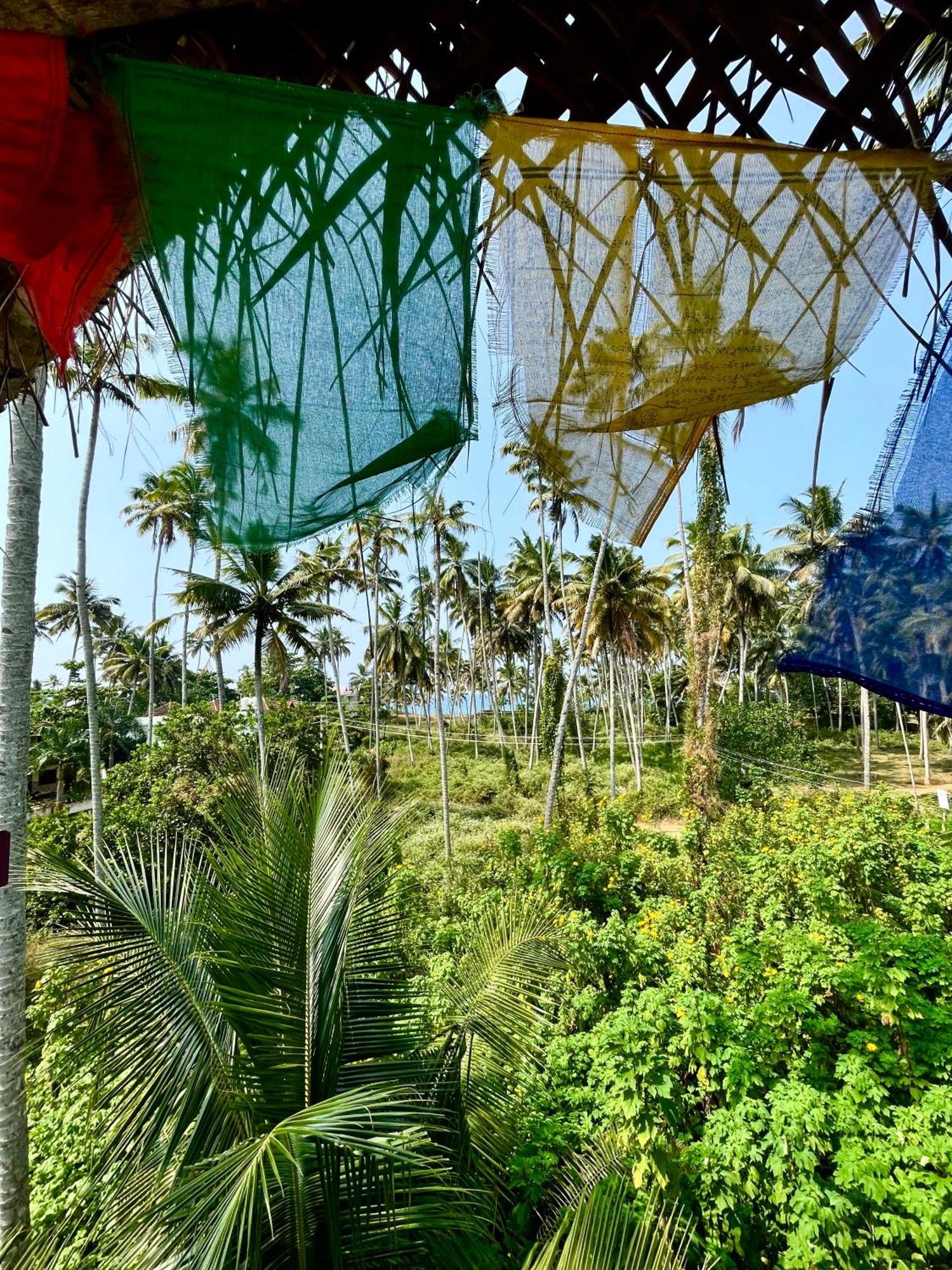 Cliff & Coral Hostel วาร์คาลา ภายนอก รูปภาพ