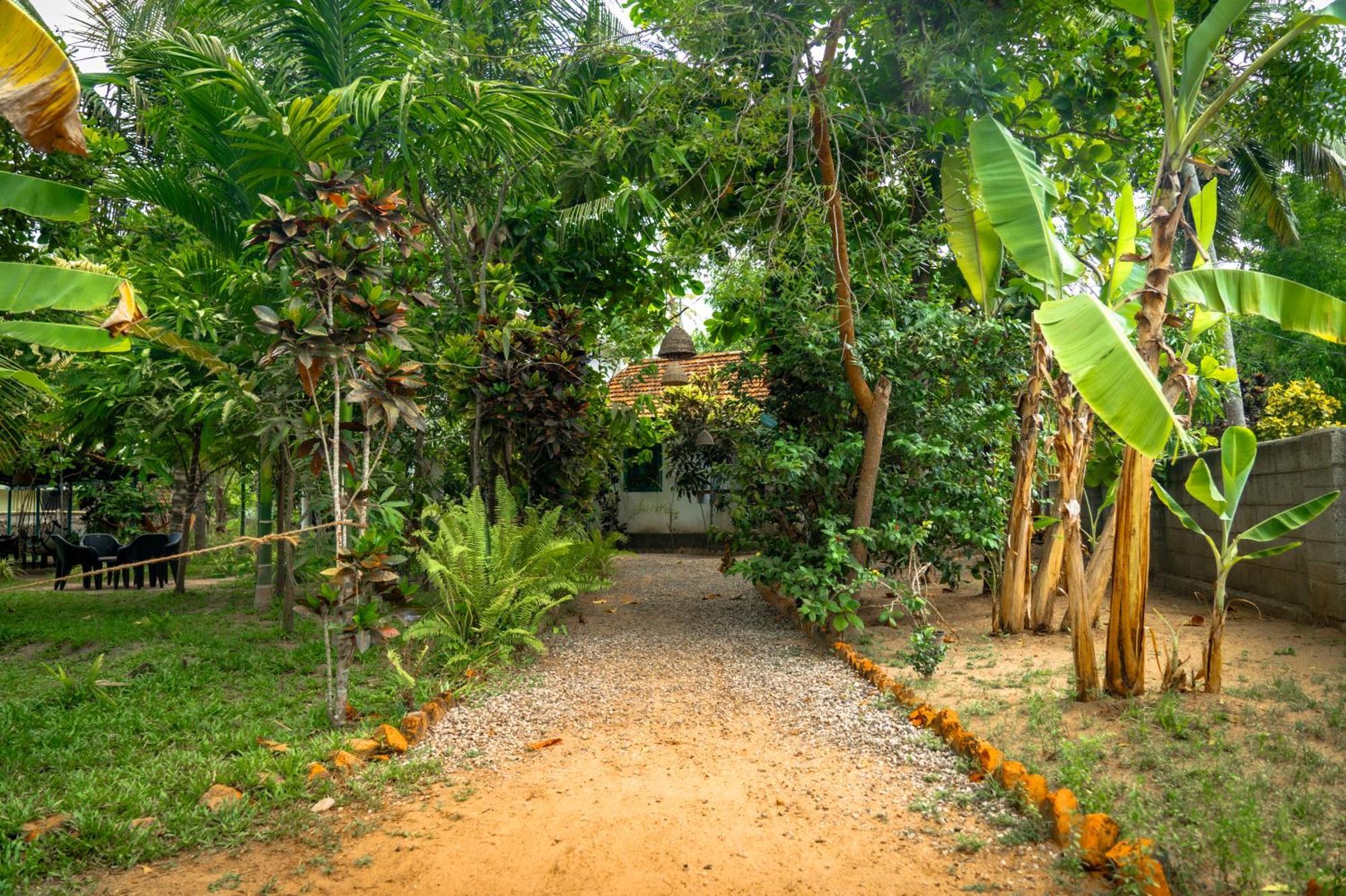 Cliff & Coral Hostel วาร์คาลา ภายนอก รูปภาพ