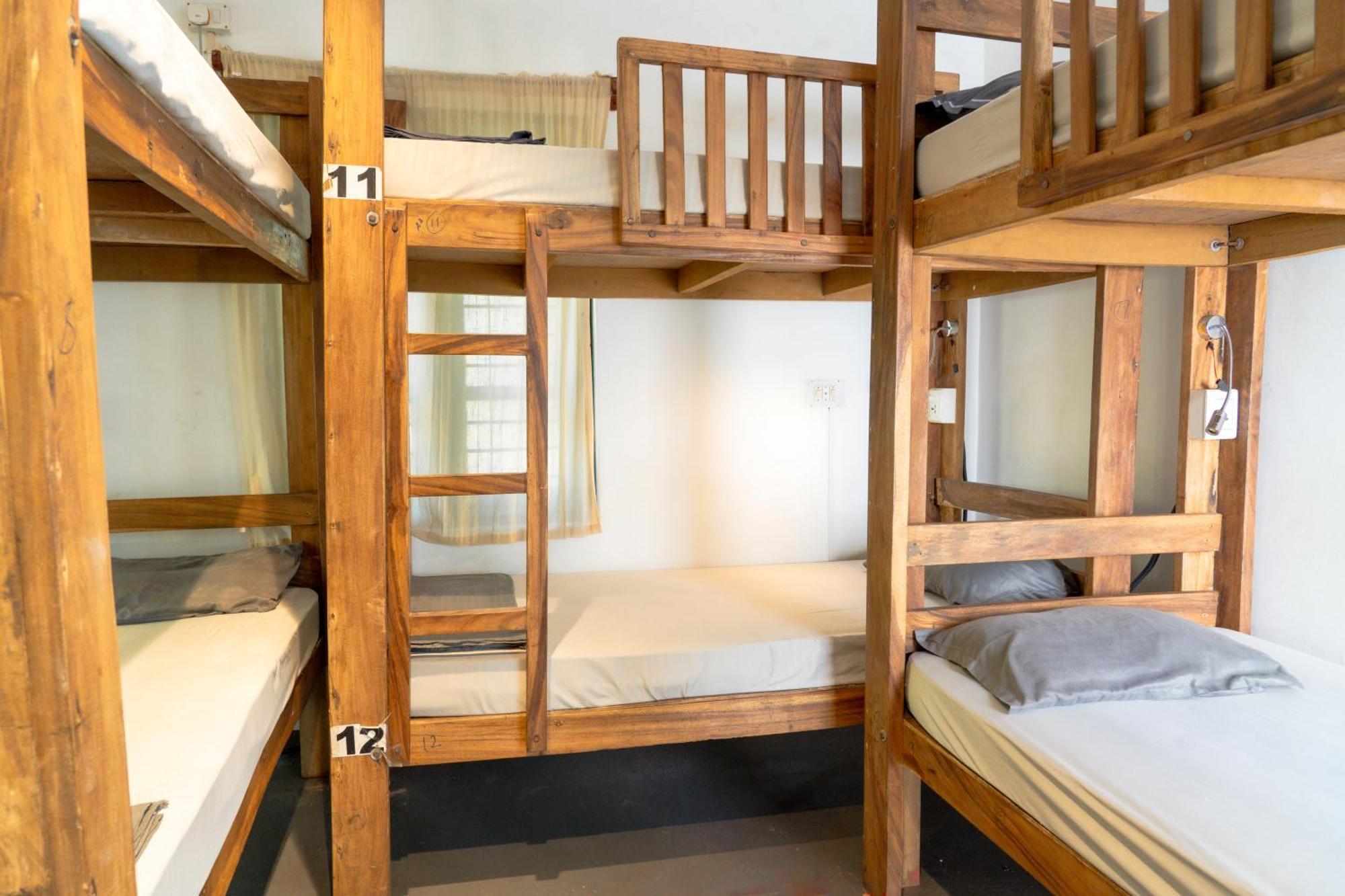 Cliff & Coral Hostel วาร์คาลา ภายนอก รูปภาพ